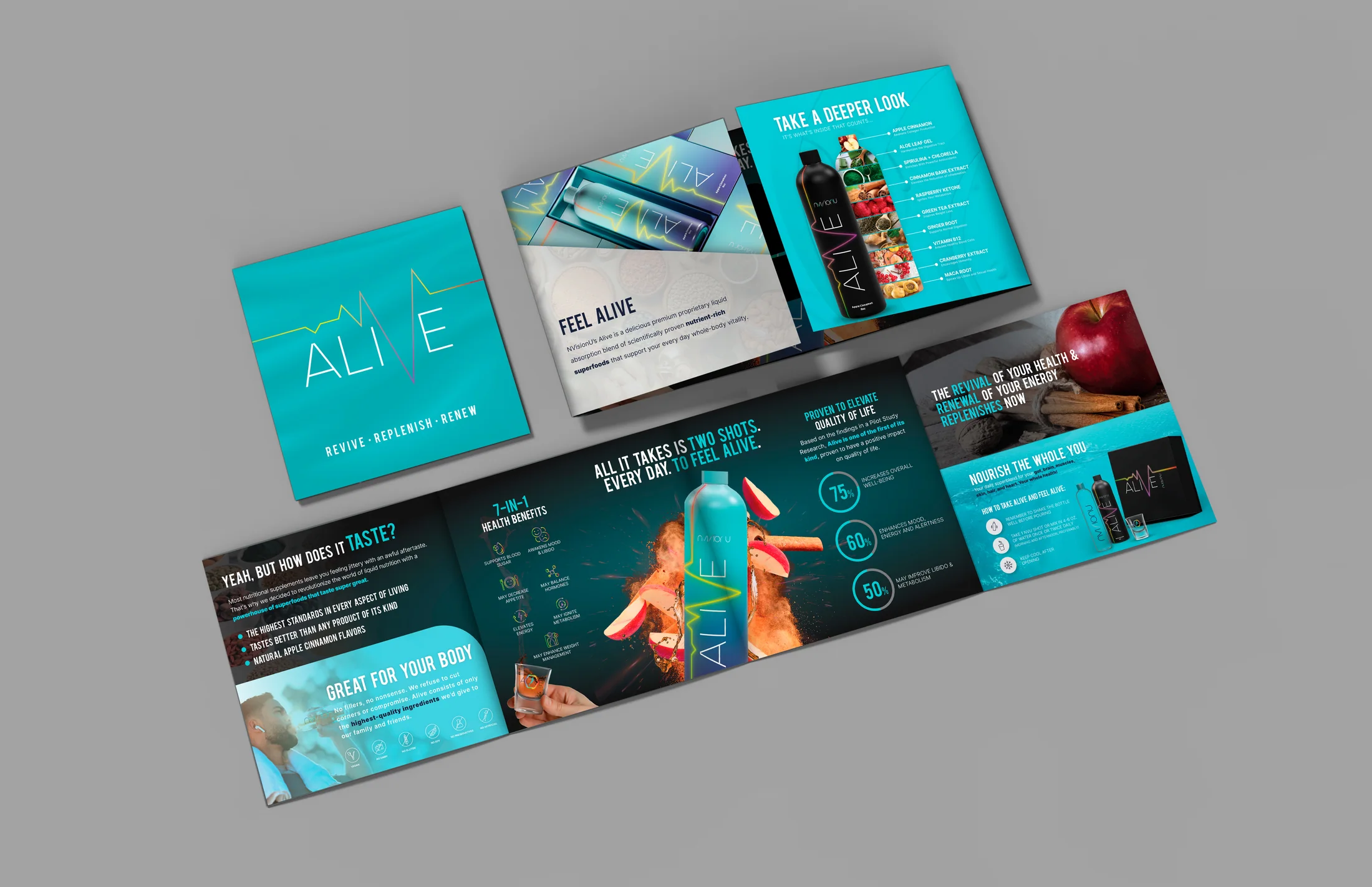 A printed brochure
